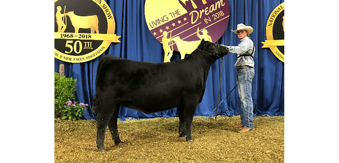 Ty showing at NJAS in Madison, Wisconsin