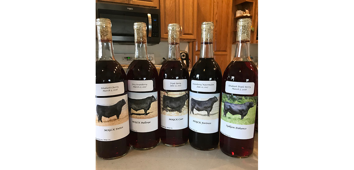 Charles enjoys making homemade wine. All the wine is named after bulls we have sold or own.